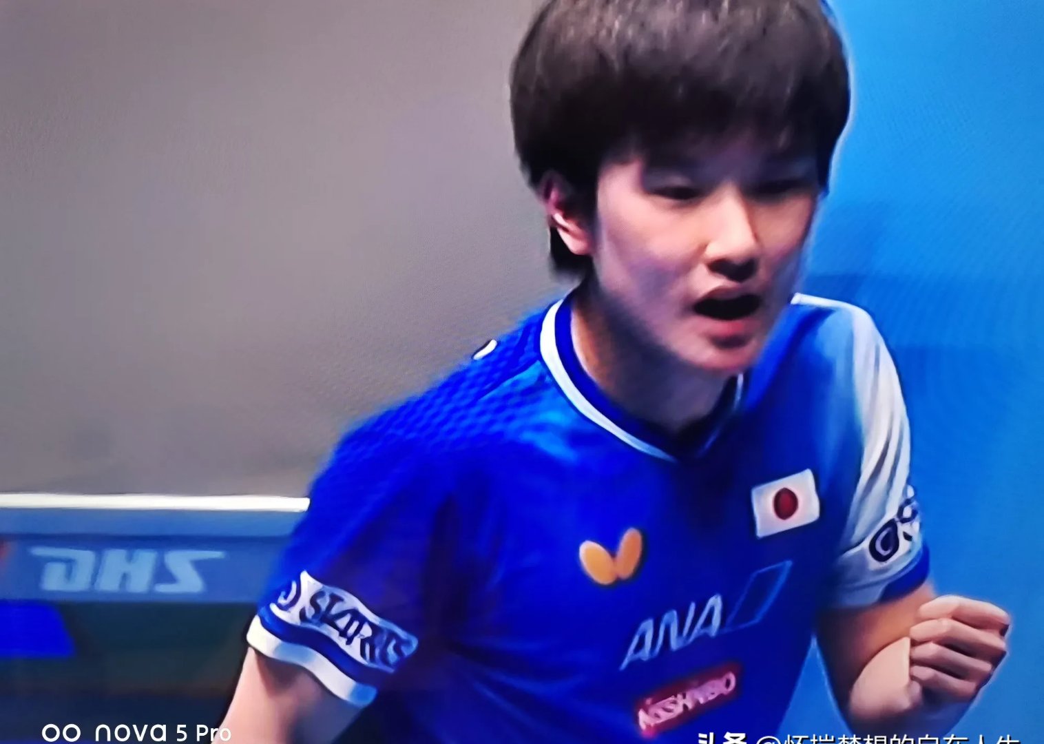 瑞典乒乓球队横扫英国乒乓球队，张本智和惊艳世界的简单介绍